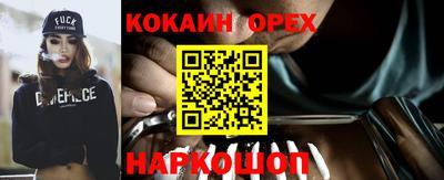 ECSTASY Обь